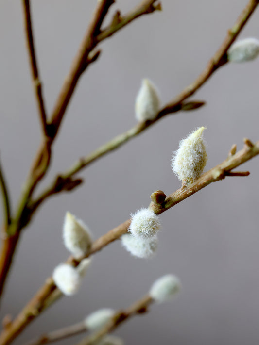 Faux Willow Stems