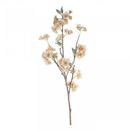 Japanese Cherry Flower Stem - Flo & Joe